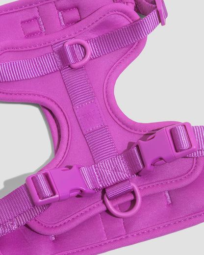 Cushioned Dog Harness