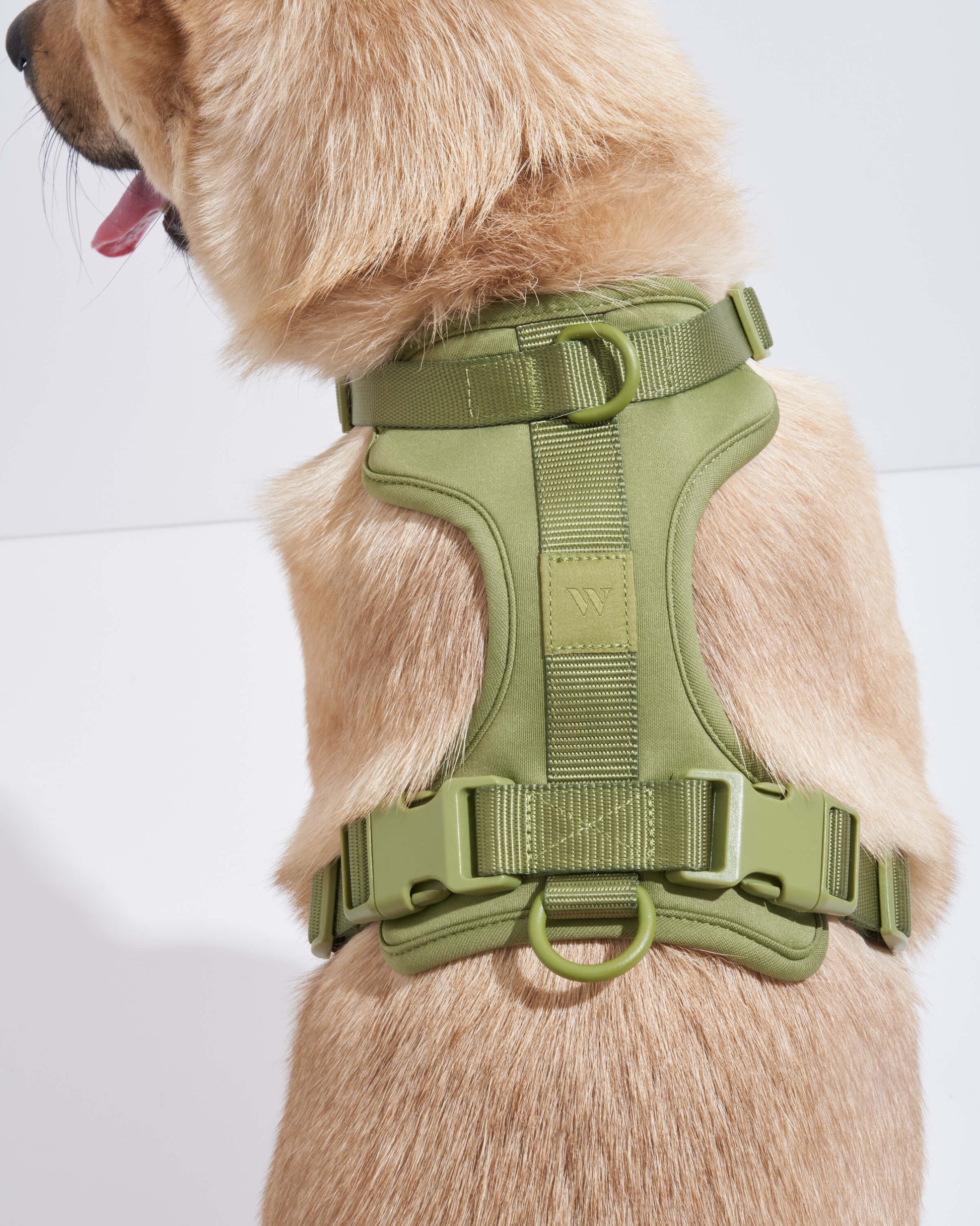 Cushioned Dog Harness