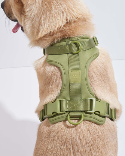 Cushioned Dog Harness