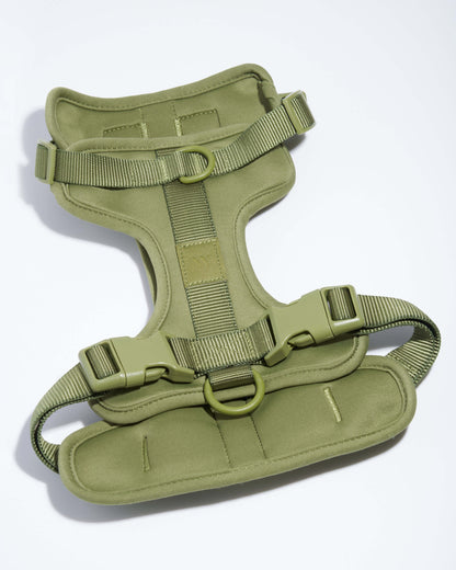 Cushioned Dog Harness