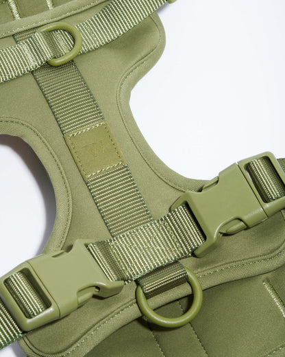 Cushioned Dog Harness