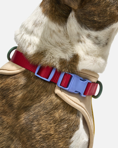 Cushioned Dog Harness