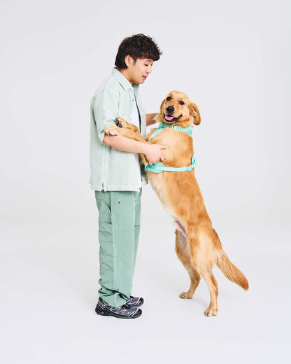 Cushioned Dog Harness