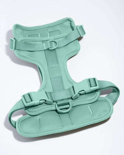 Cushioned Dog Harness