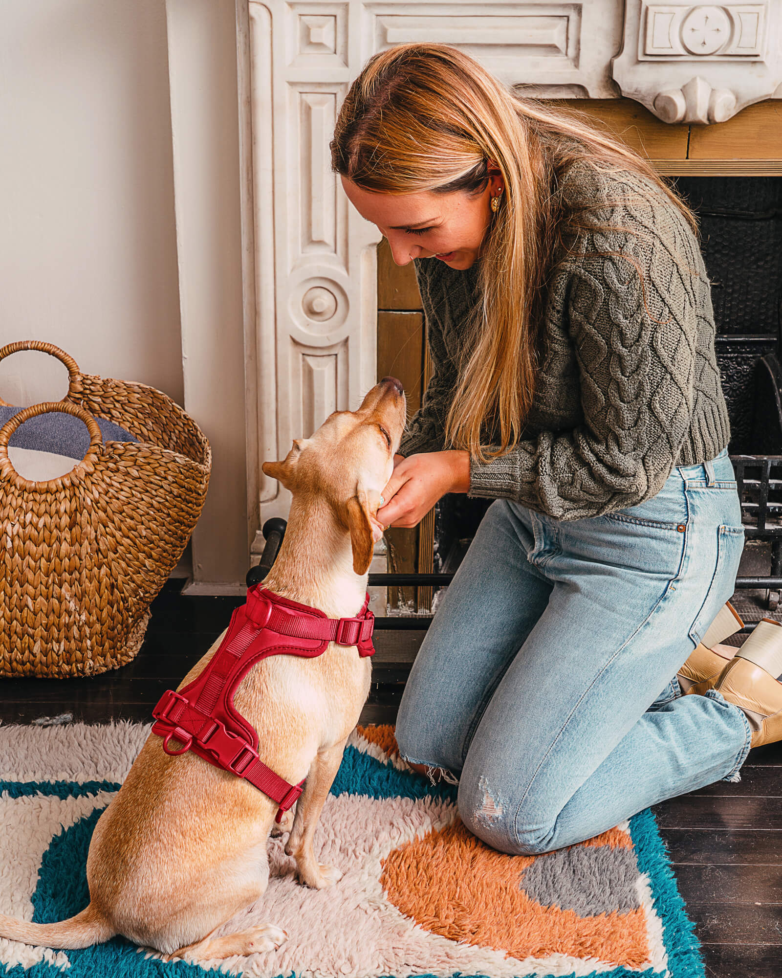 Cushioned Dog Harness