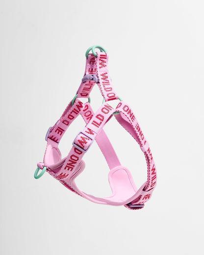 Step-In Dog Harness