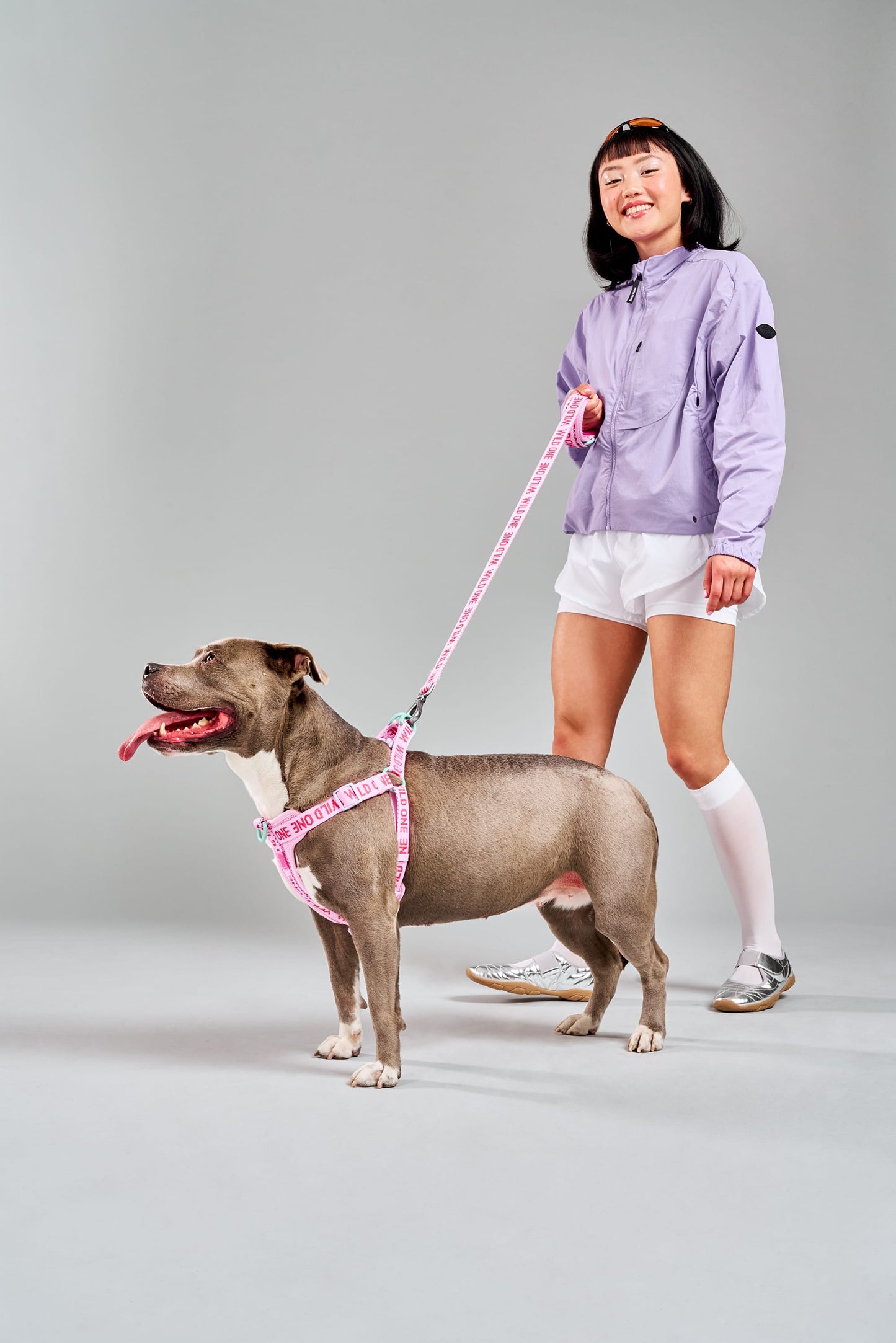 Step-In Dog Harness