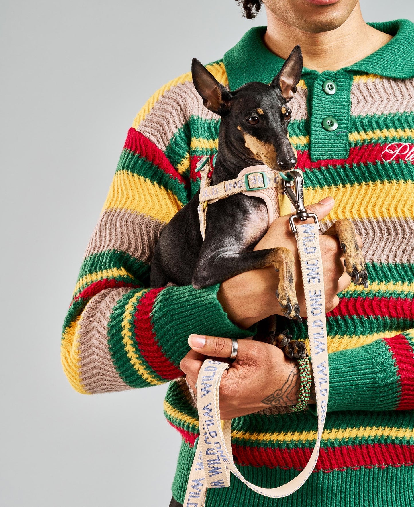 Lightweight Dog Leash