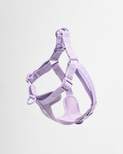 Step-In Dog Harness