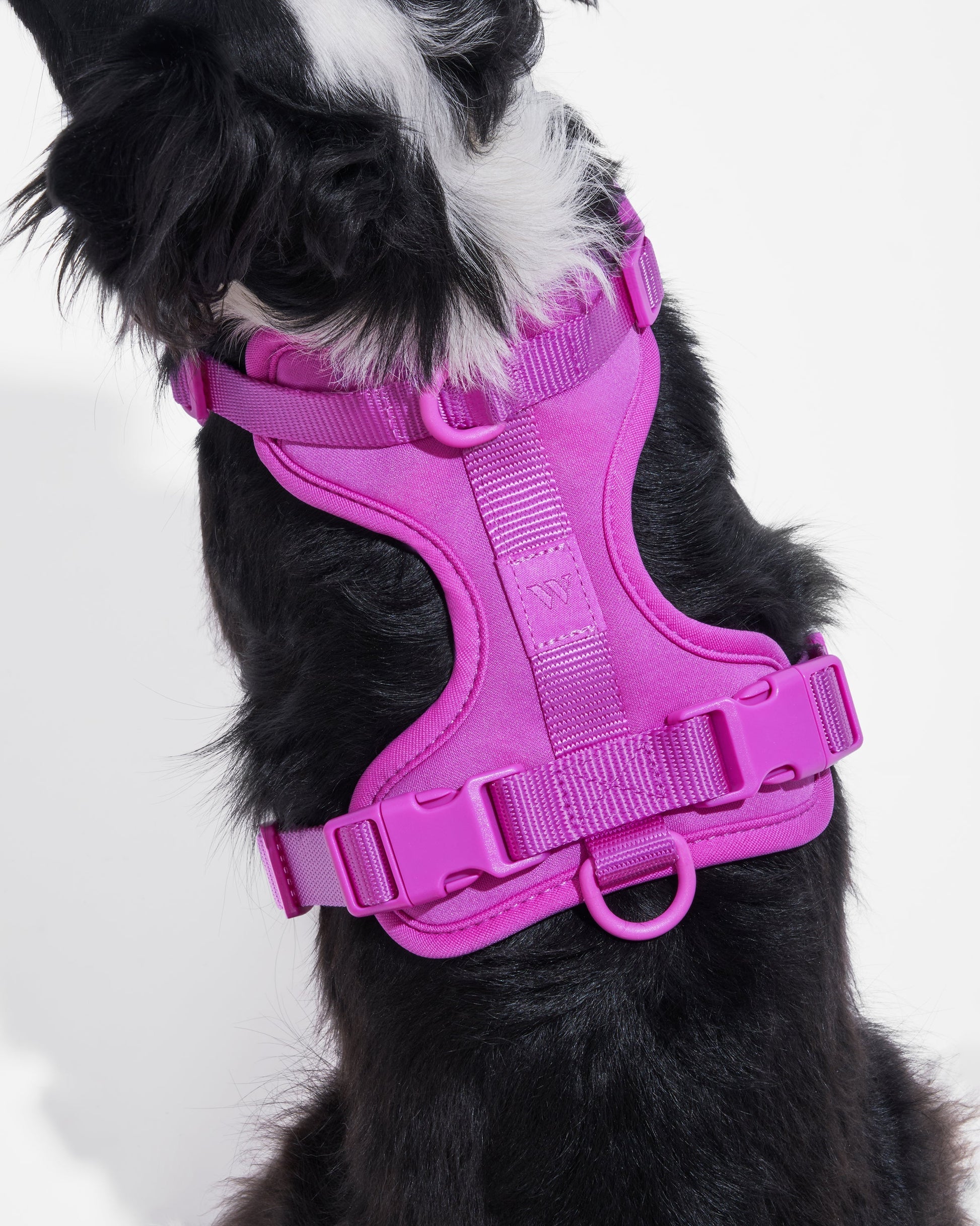 Cushioned Dog Harness