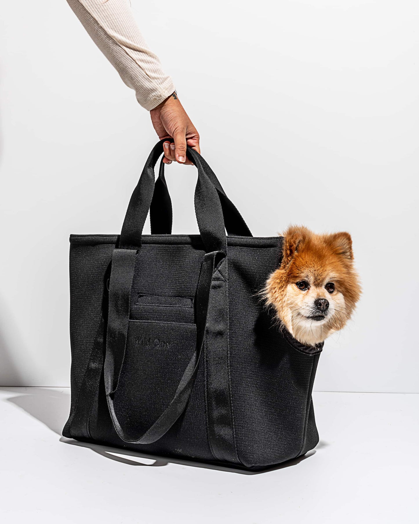 Everyday Carrier