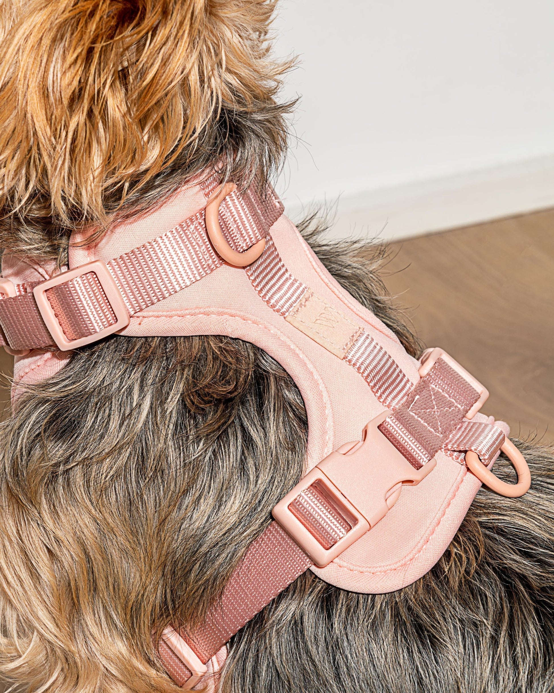 Cushioned Dog Harness