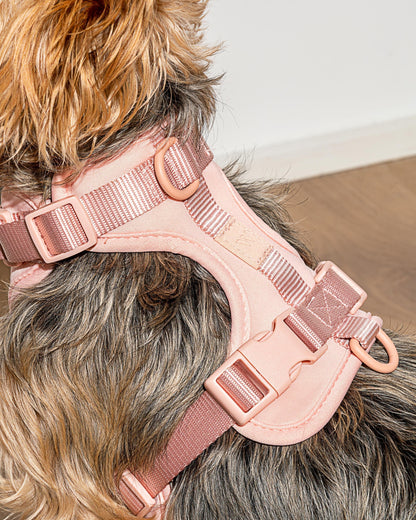 Cushioned Dog Harness