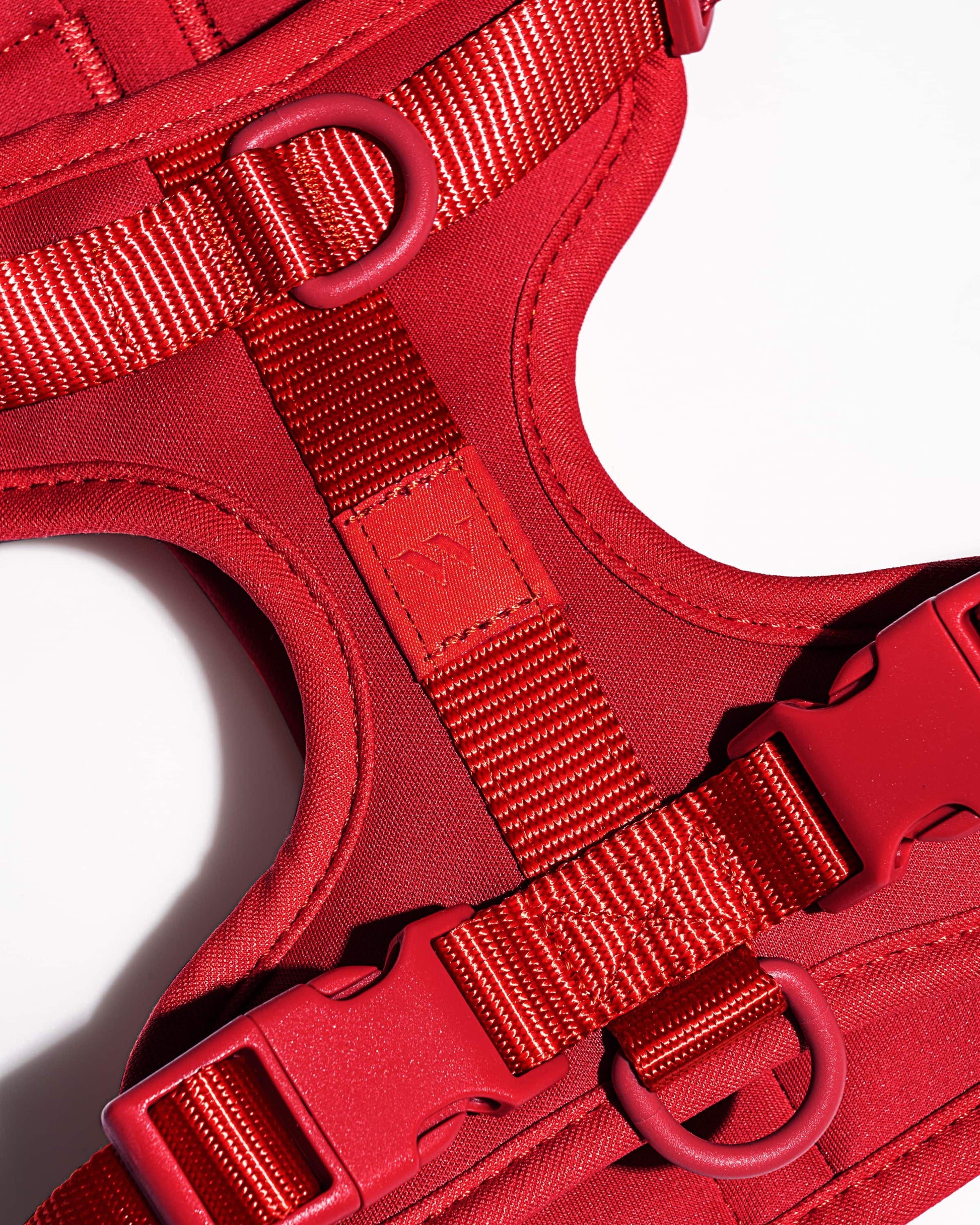 Cushioned Dog Harness