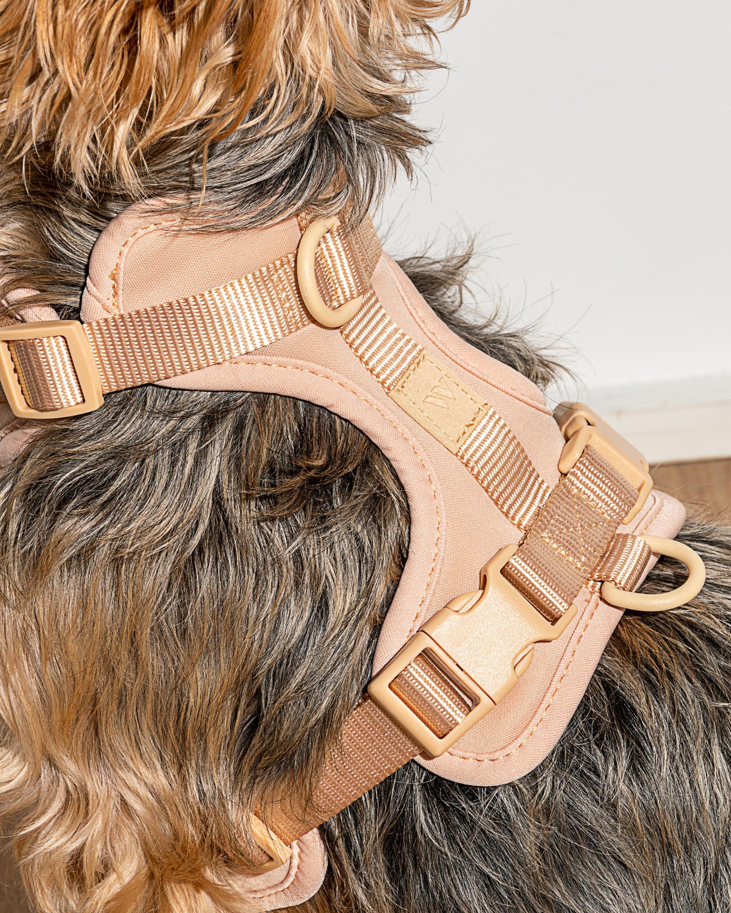 Cushioned Dog Harness