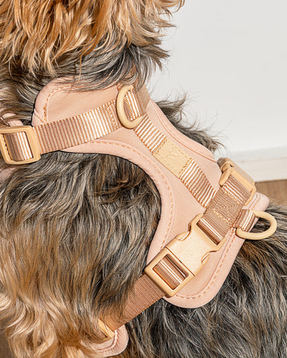 Cushioned Dog Harness