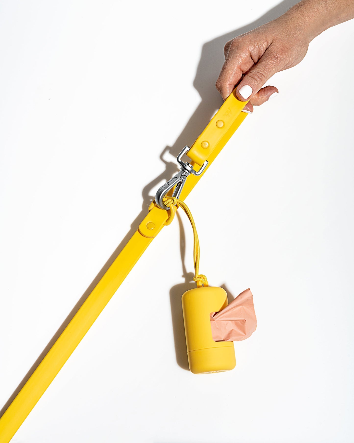 Waterproof Dog Leash