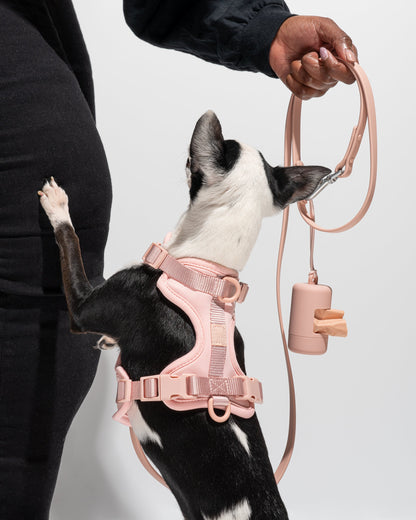 Cushioned Dog Harness