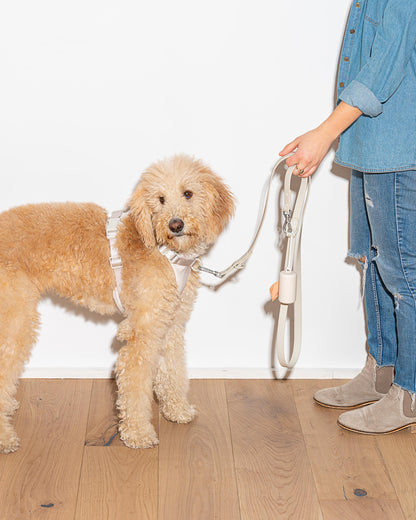Waterproof Dog Leash