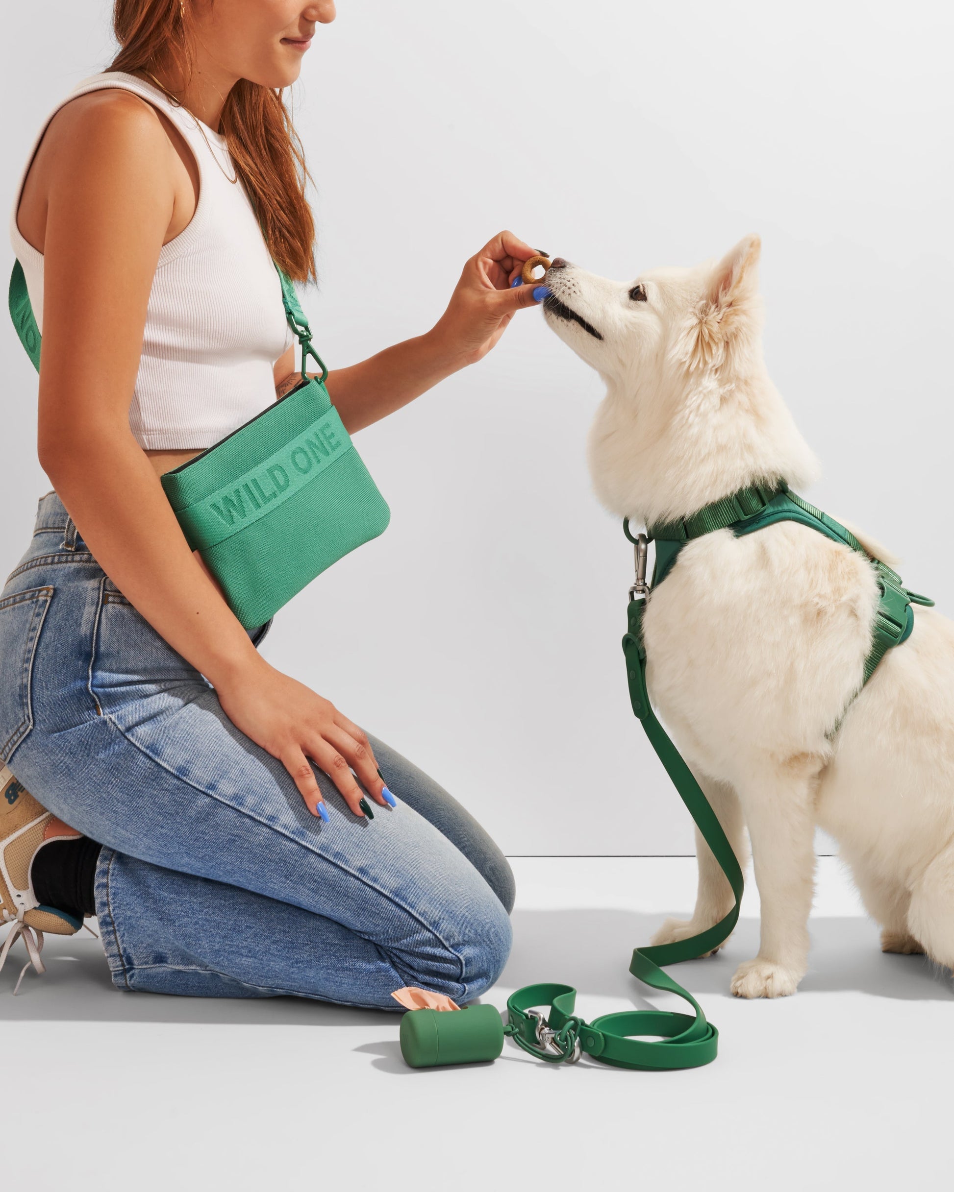 Treat Pouch