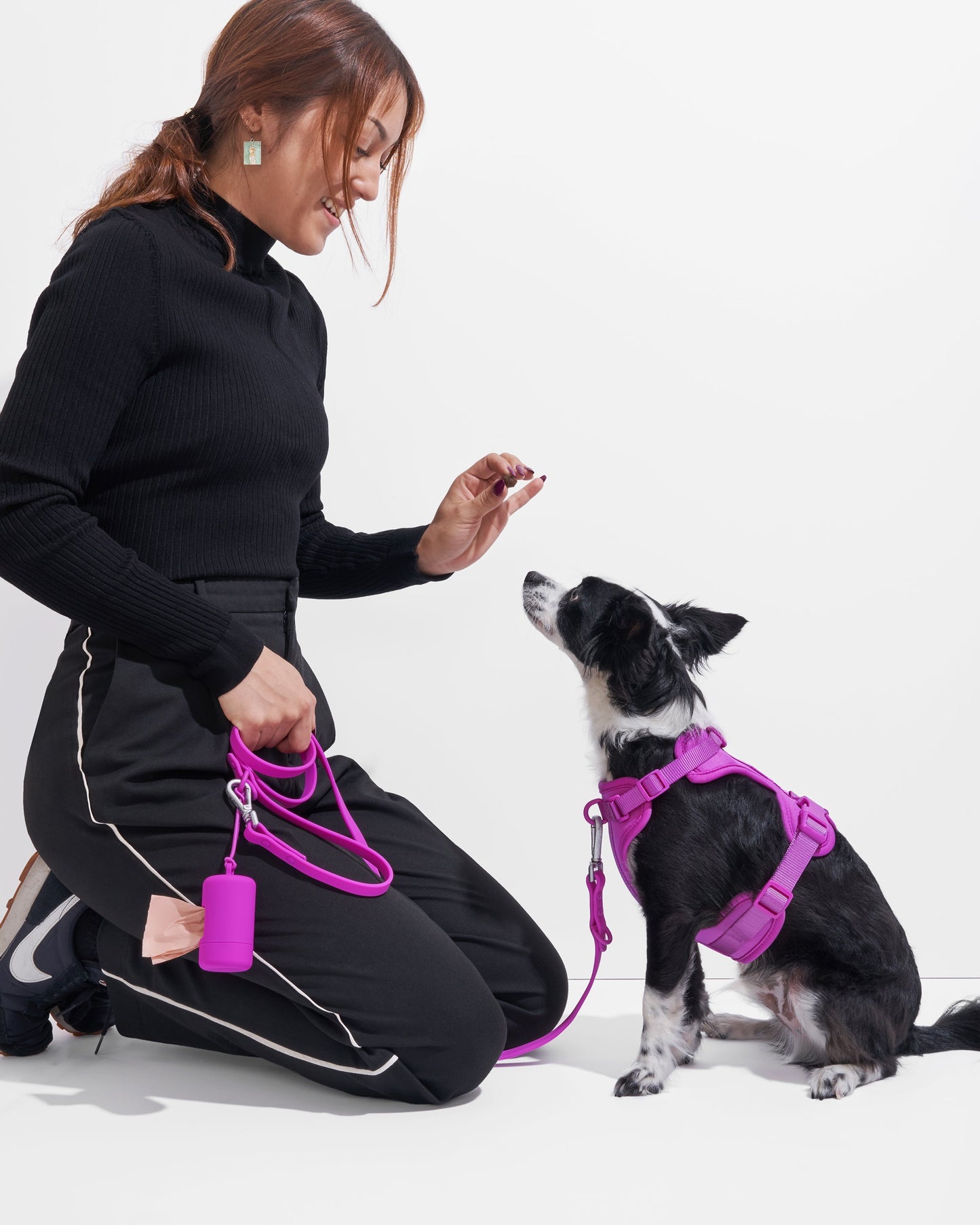 Cushioned Dog Harness