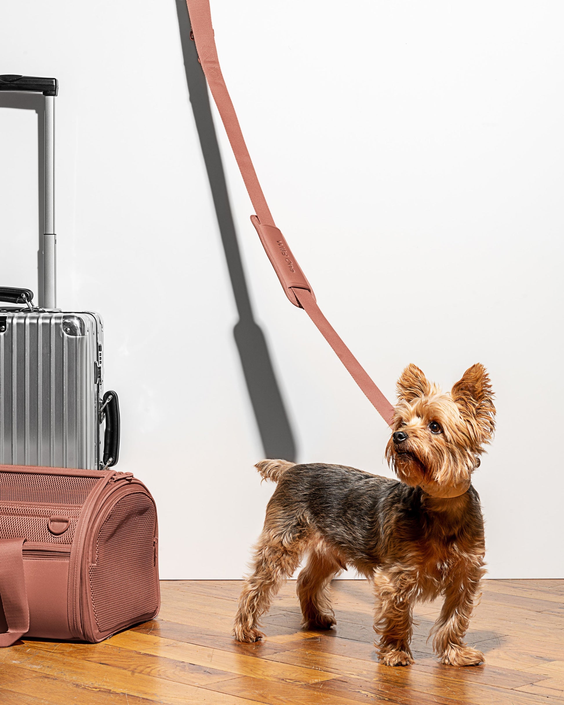 Travel Carrier