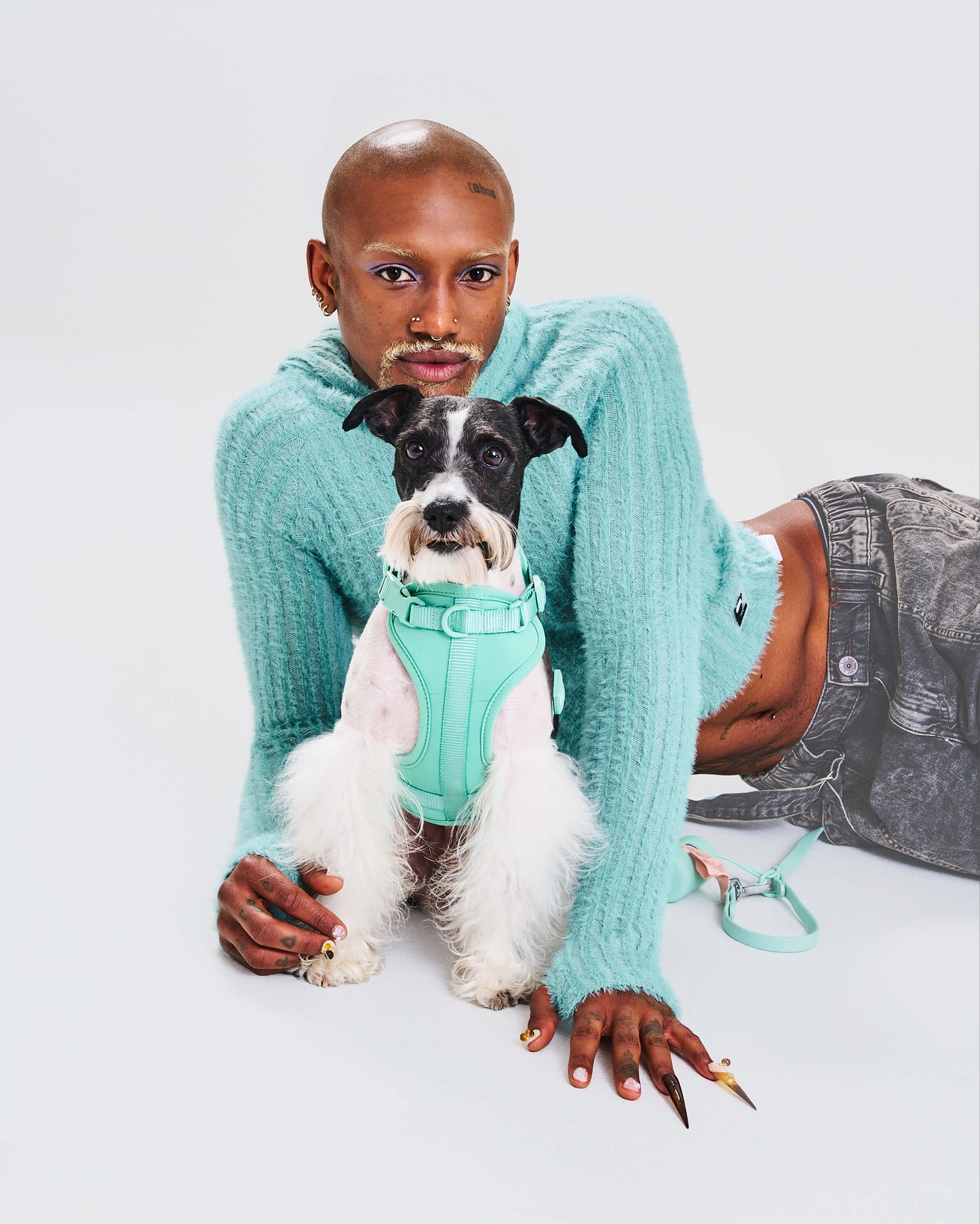 Cushioned Dog Harness