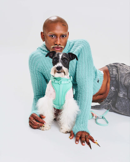 Cushioned Dog Harness