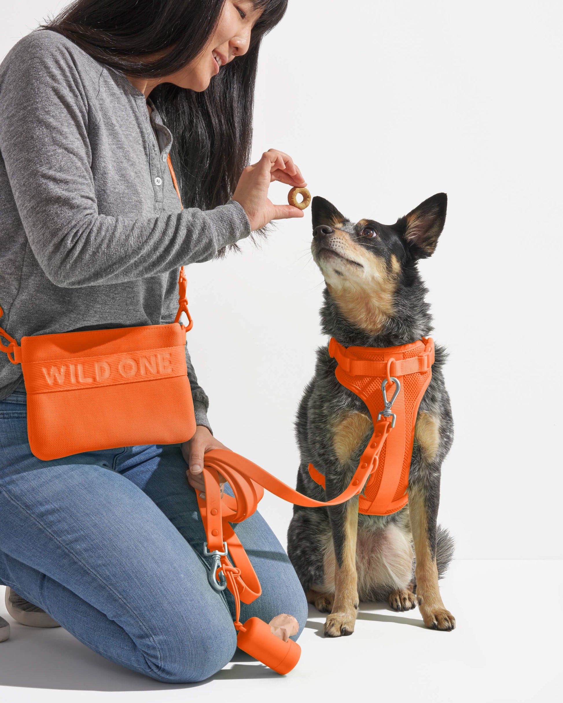 Treat Pouch
