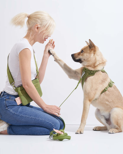 Cushioned Dog Harness