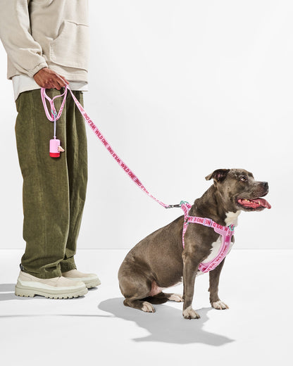 Lightweight Dog Leash
