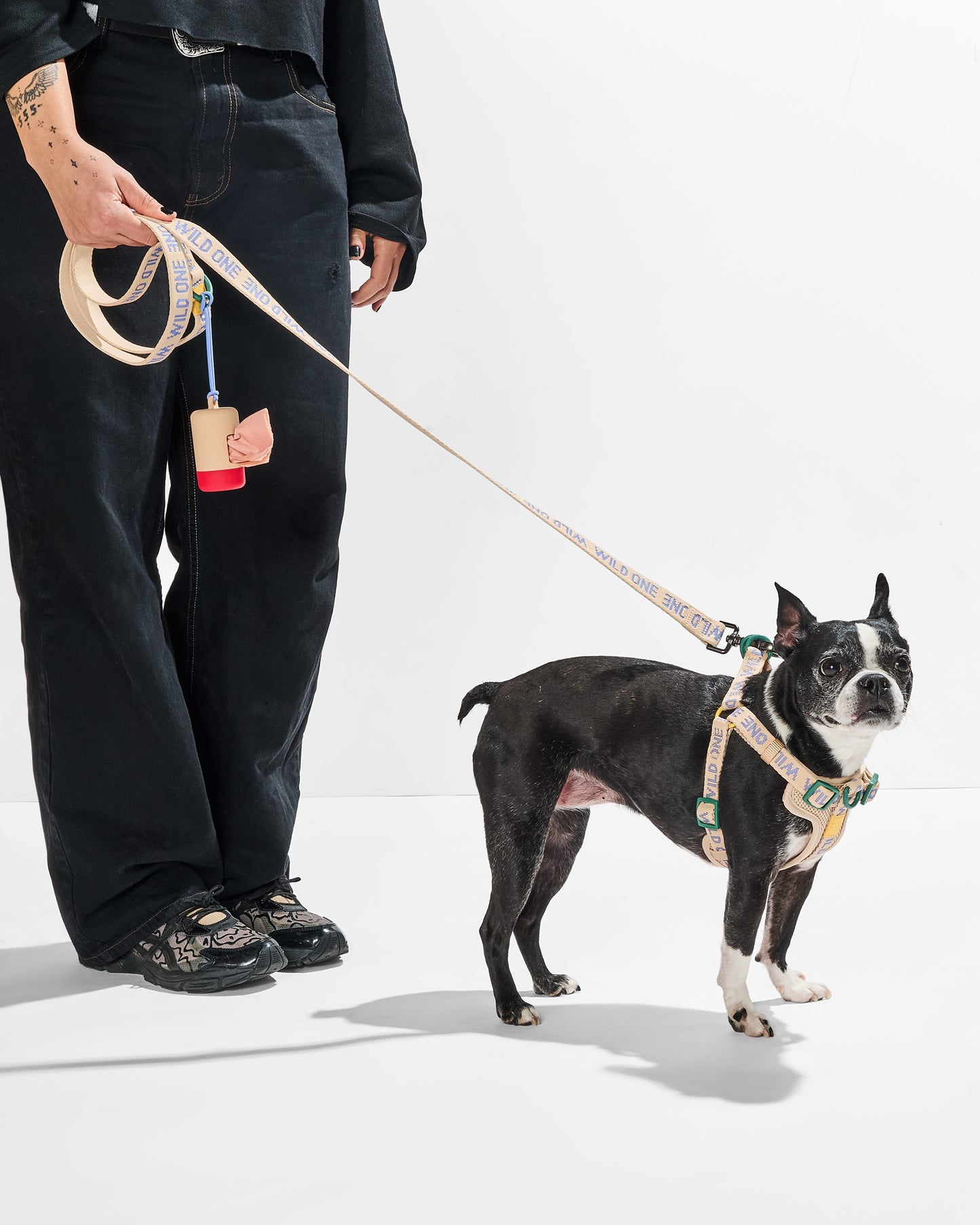 Lightweight Dog Leash