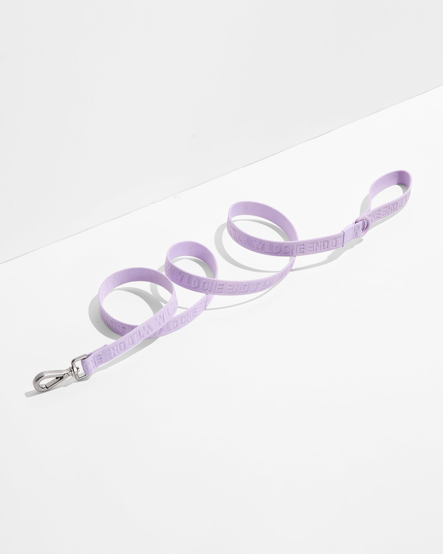 Lightweight Dog Leash